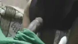 クソ猫 女子 の ため の エロ 動画