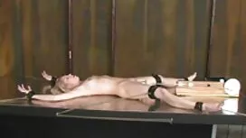 ビデオ 女性 用 無料 アダルト 映像